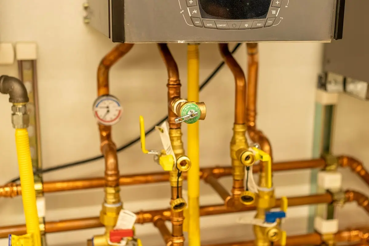 Licensed technician providing Water Heater Installation for a homeowner in Lake Holiday